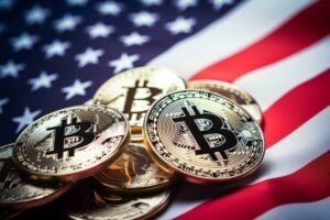 Everyday Life with Bitcoin: Who Uses It, Where, and For What